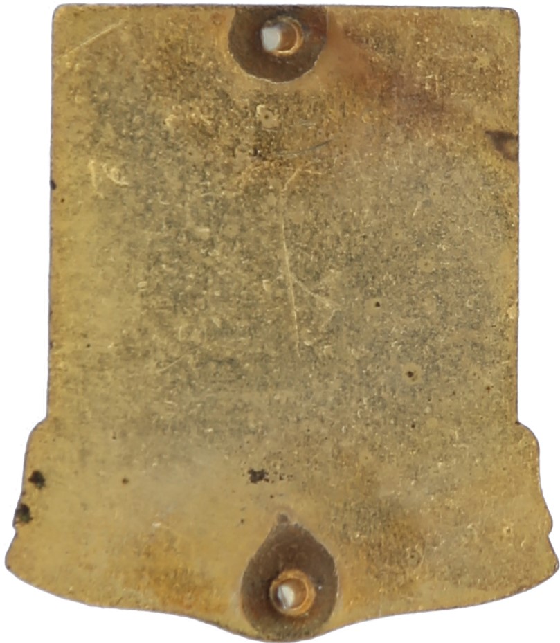 Type 1